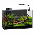 2 Gallon Fish Tank with Light and Filter R8046