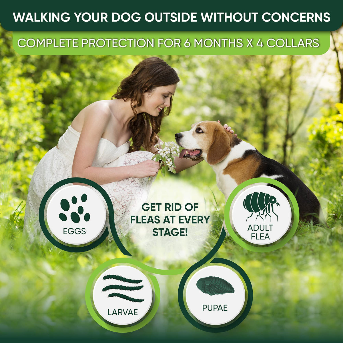 Adjustable Flea and Tick Prevention Dog Collar J7921