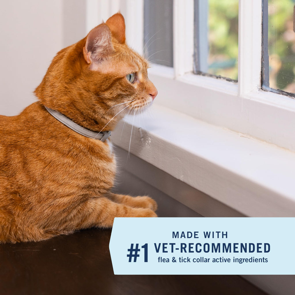 Flea & Tick Treatment & Prevention Collar for Cats R6743