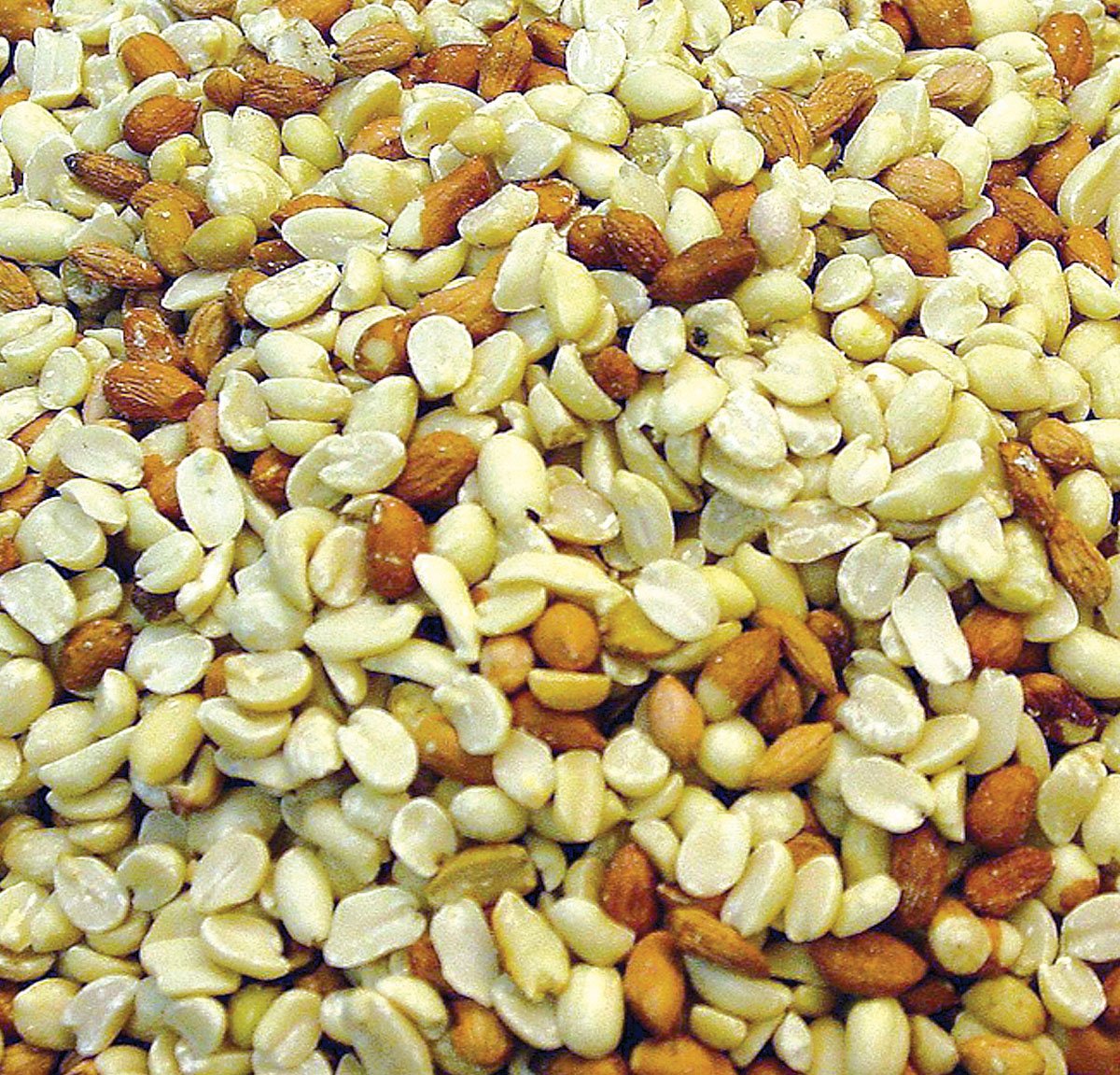 Raw Peanuts 25 lbs Y113818