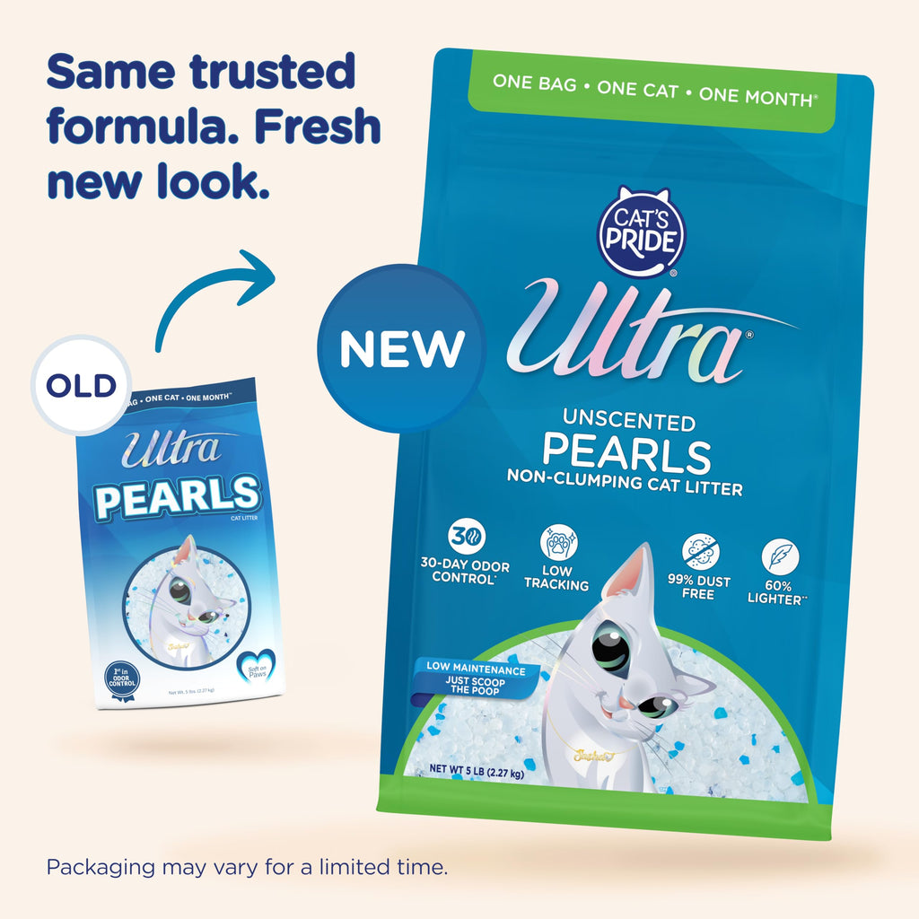 Cat Litter - 99.9% Dust Free, Low Tracking, Fragrance Free - 5 Lbs H46887