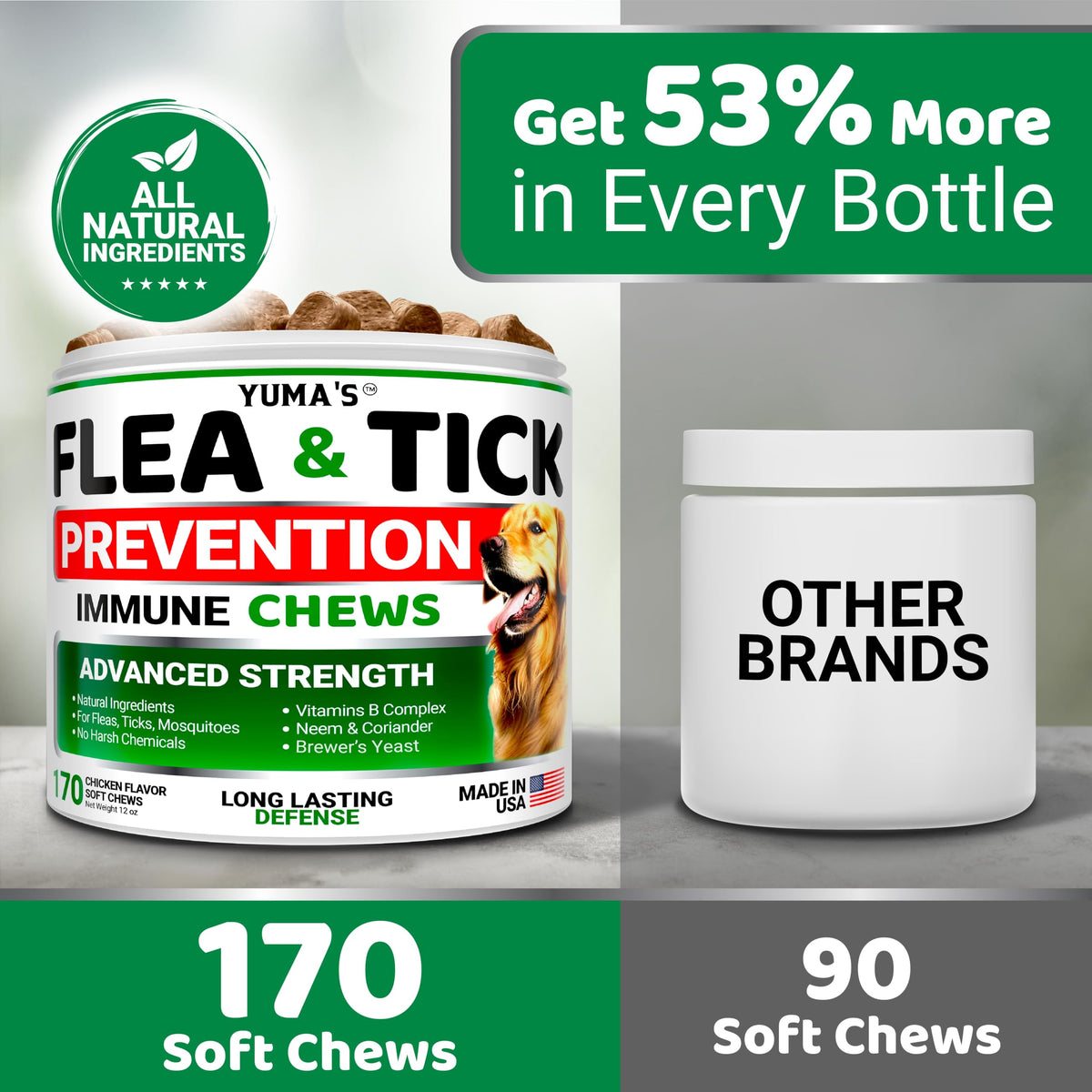 Natural Oral Flea and Tick Prevention for Dogs, 170 Chews G87614