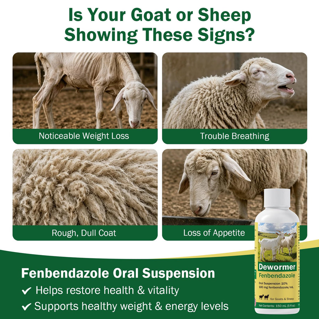 Liquid Dewormer with Fenbendazole Z919