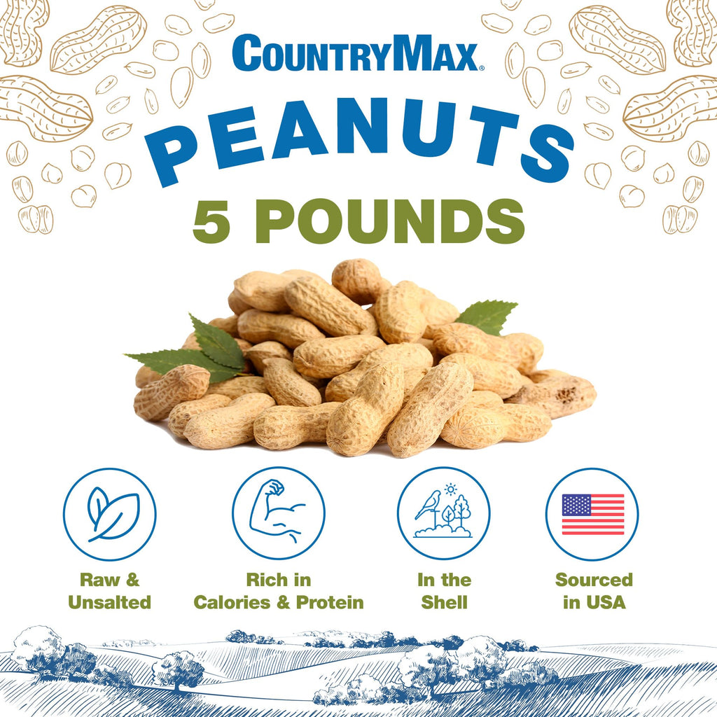 5LB In-Shell Raw Peanuts T3311