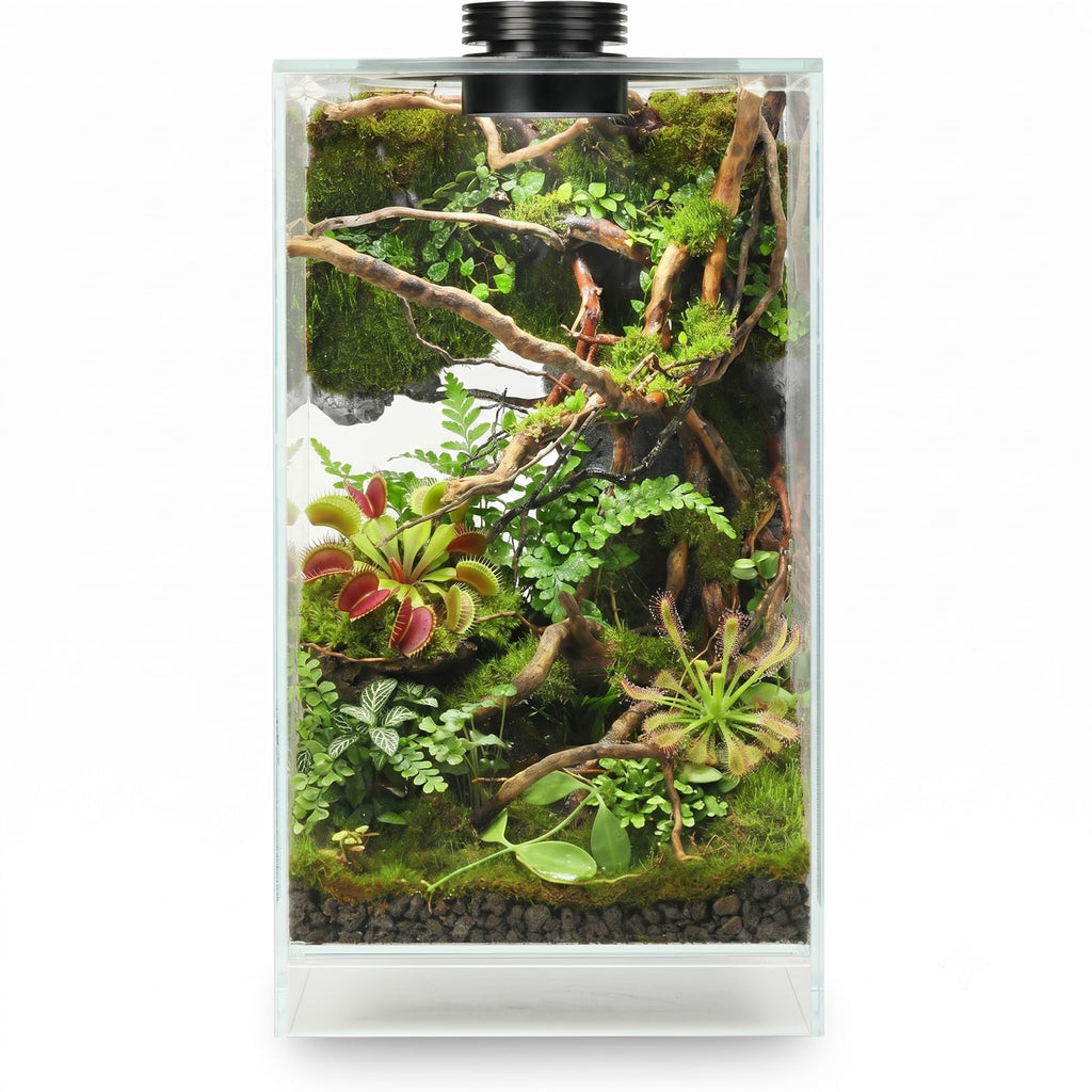 Glass Plant Terrarium with Grow Light V55131