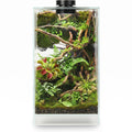 Glass Plant Terrarium with Grow Light V55131