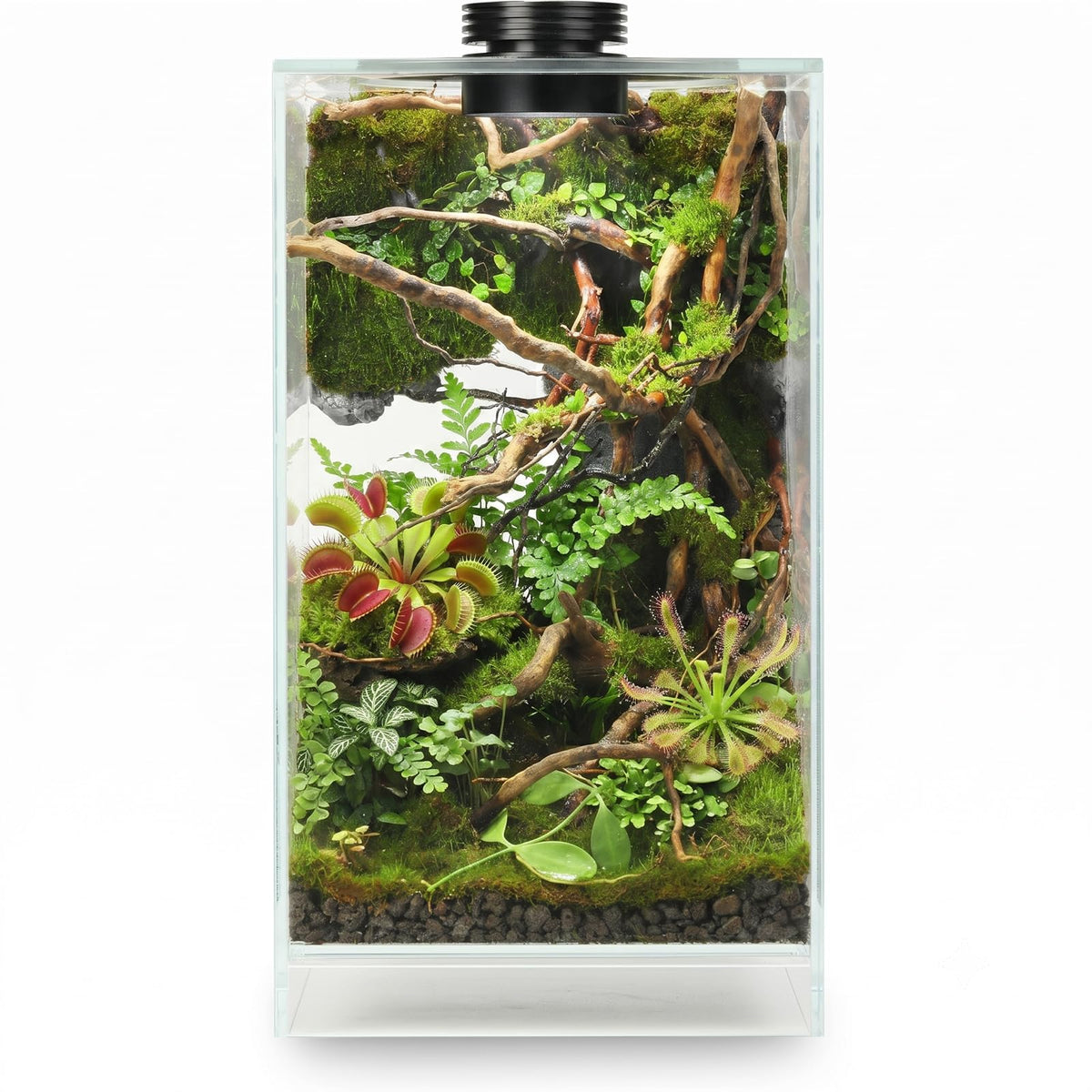 Glass Plant Terrarium with Grow Light V55131