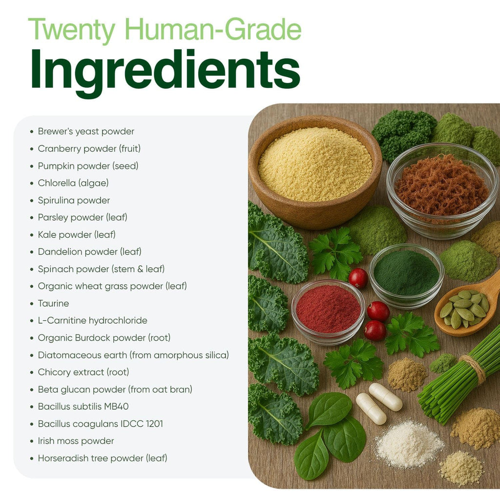 Greens Powder Supplement 3.5 oz X2584