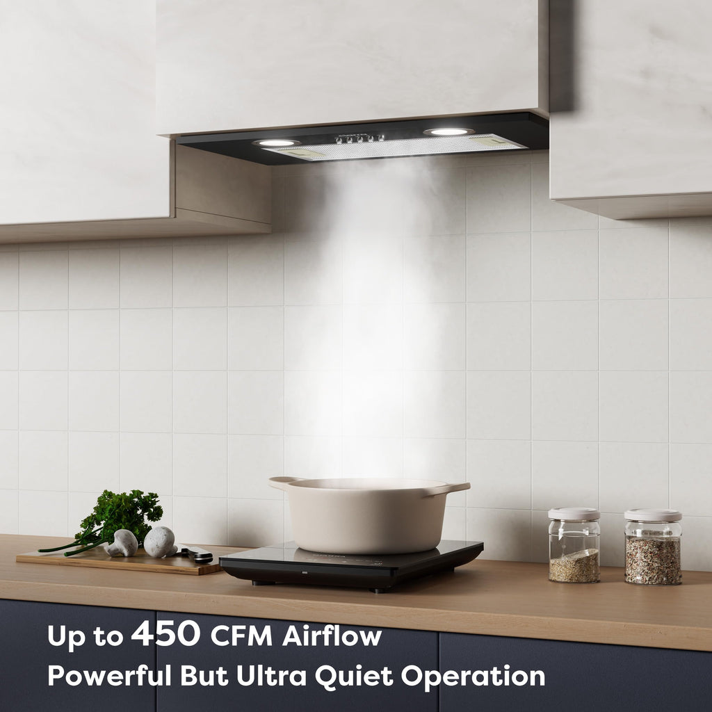 20 inch 650 CFM Black Insert Range Hood V7231