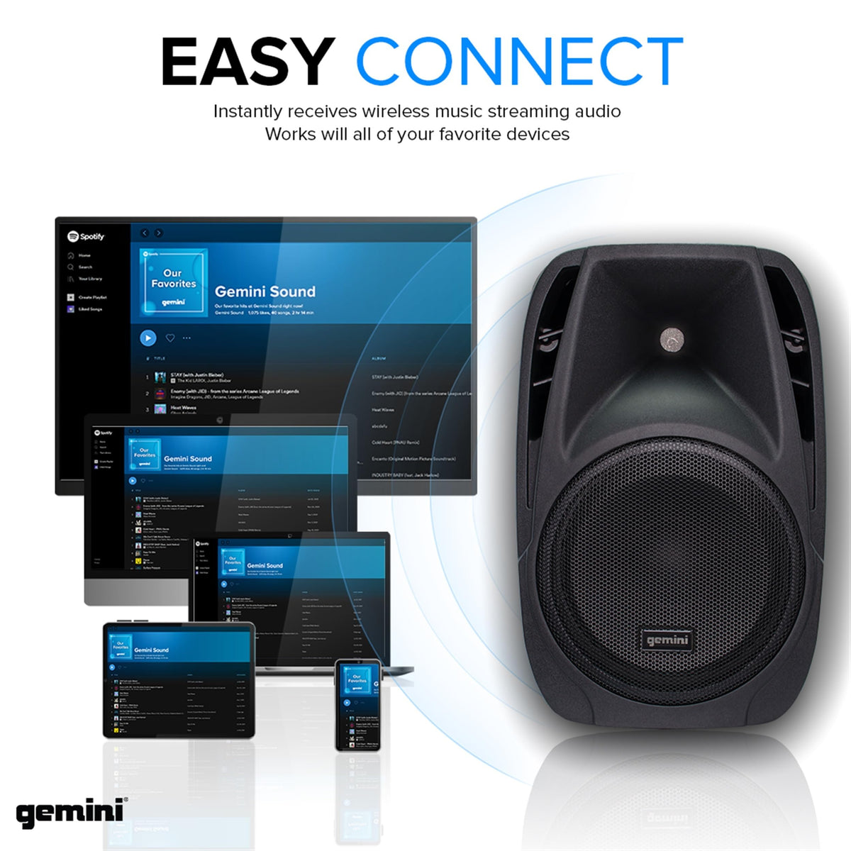 Portable PA System with Dual 10" Speakers R489