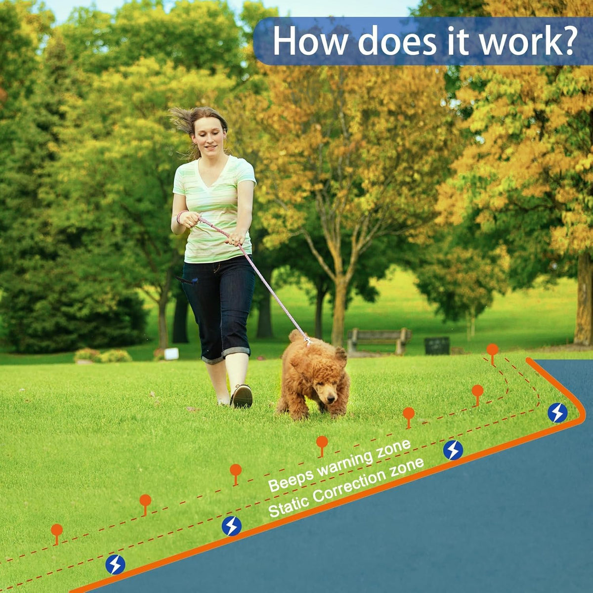 In-Ground Electric Pet Fence with 2 Waterproof Rechargeable Collars F2799