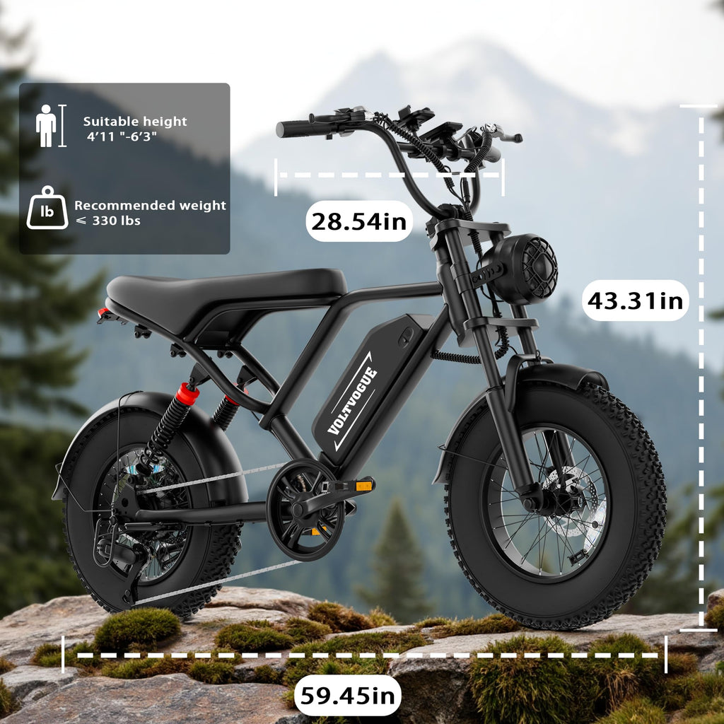 1500W Peak Motor Full Suspension Electric eBike C386