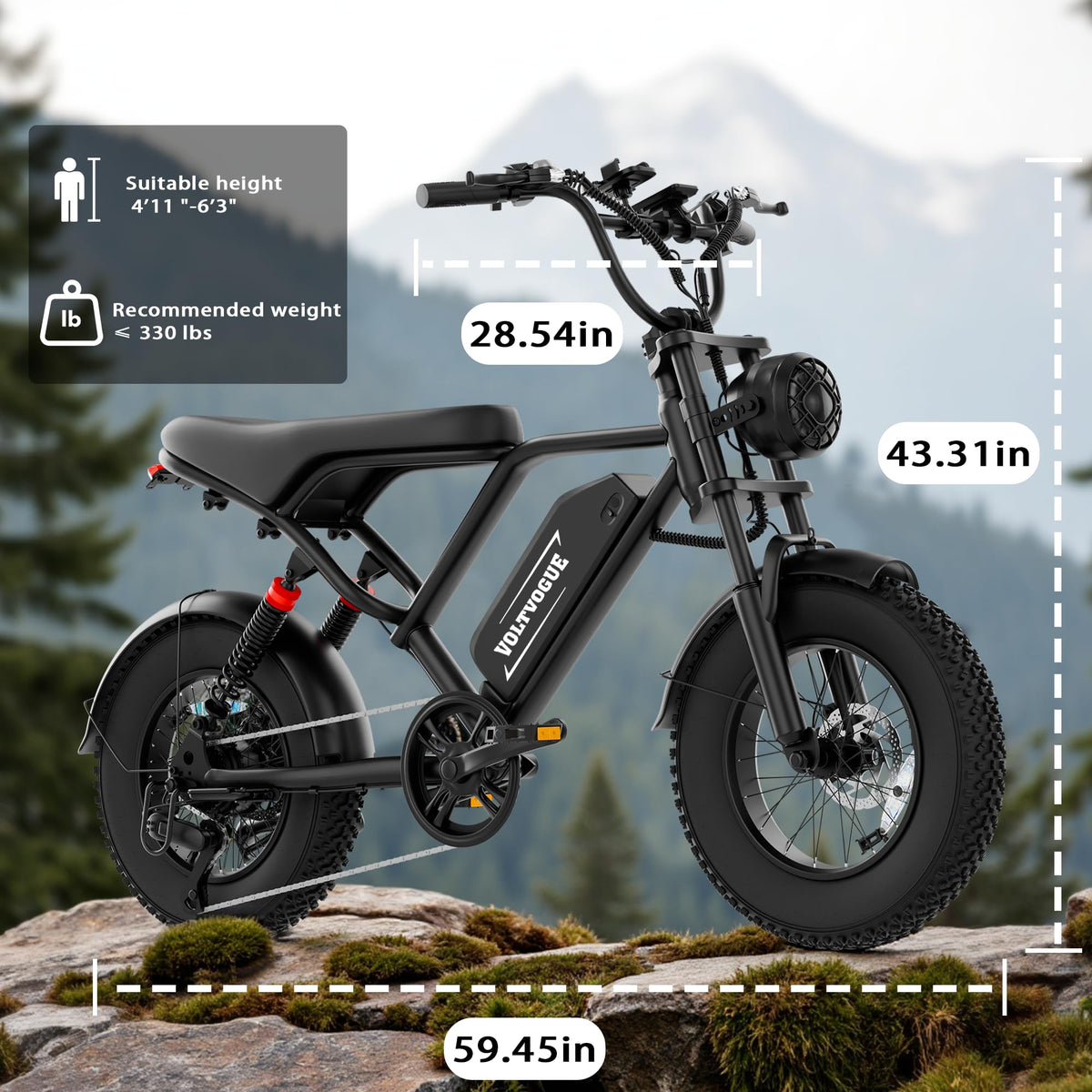 1500W Peak Motor Full Suspension Electric eBike C386