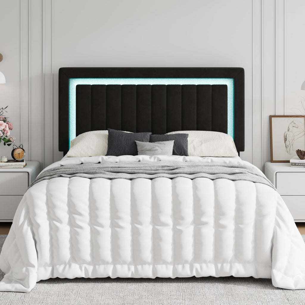 Queen Size Black Velvet Bed Frame with LED Light F66113