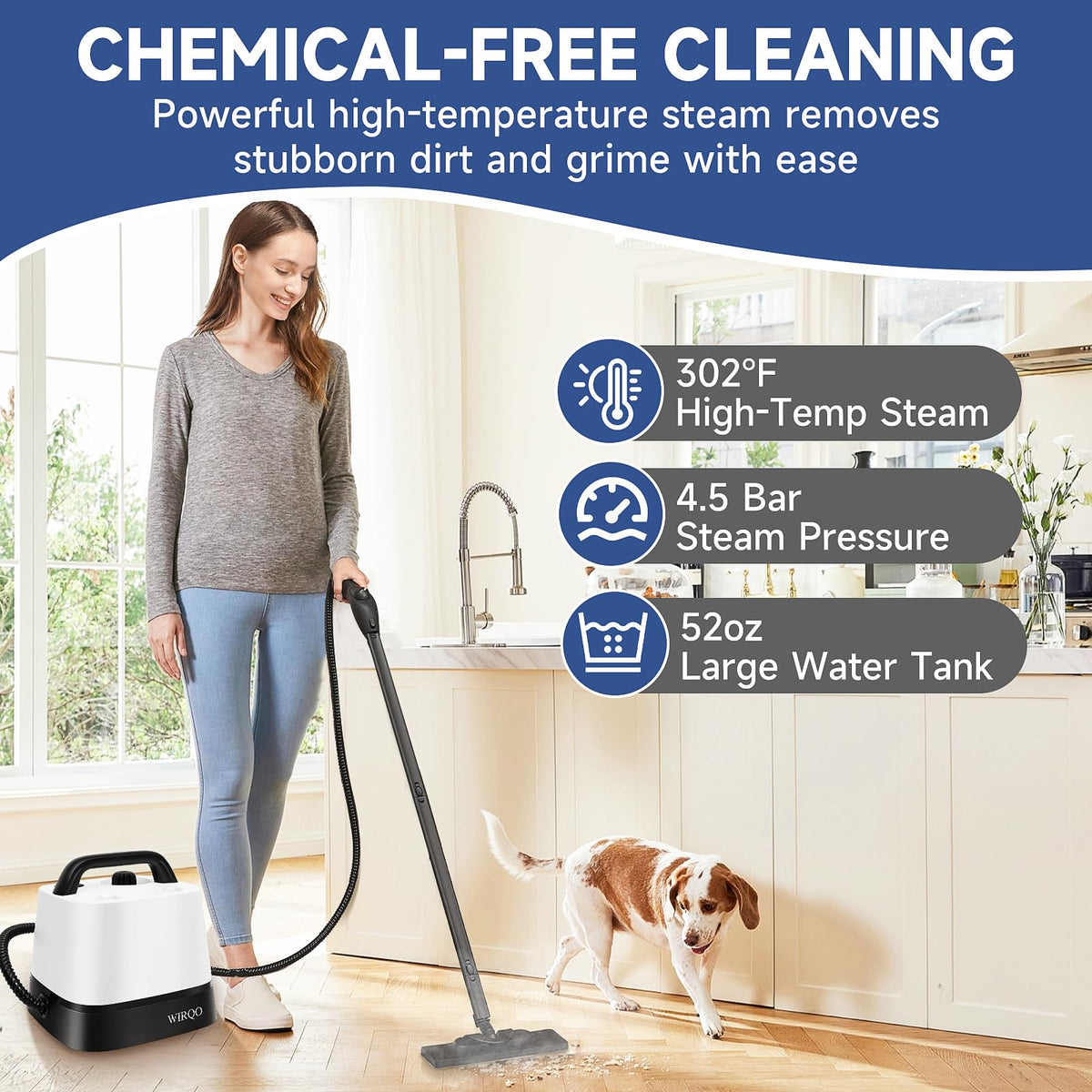 Multipurpose Steam Cleaner G250171