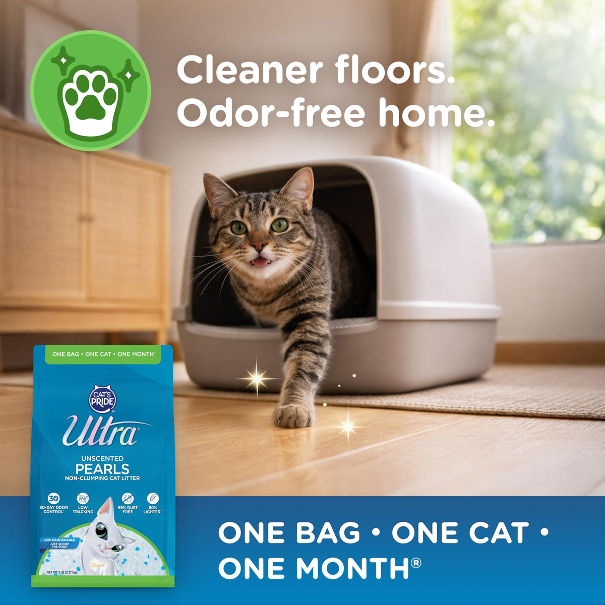 Cat Litter - 99.9% Dust Free, Low Tracking, Fragrance Free - 5 Lbs H46887