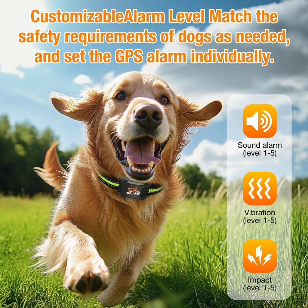 Wireless Dog Fence System with Training Collar F7769