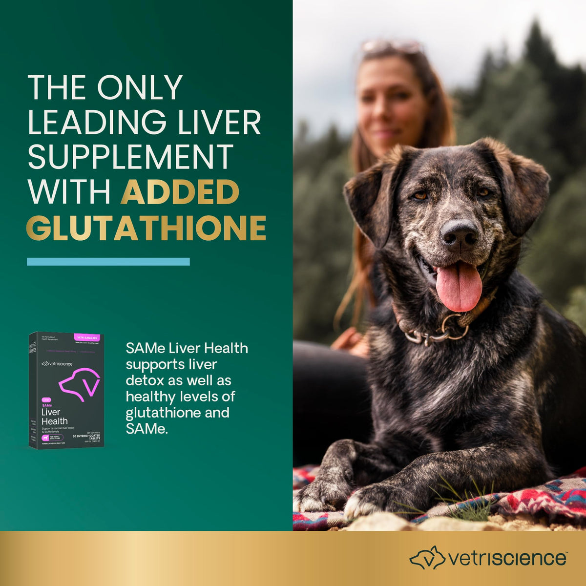 Liver Health Tablets for Dogs 30 Count V368543