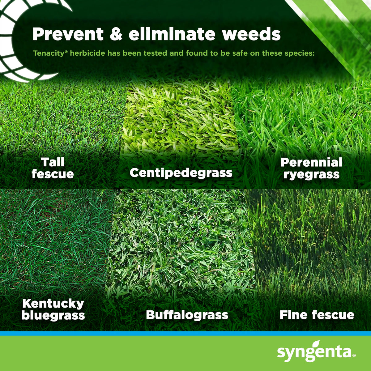 8oz Herbicide U11388