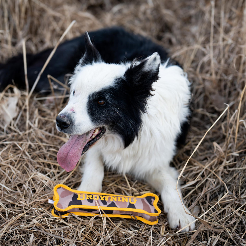 Canvas Bone Toy N171