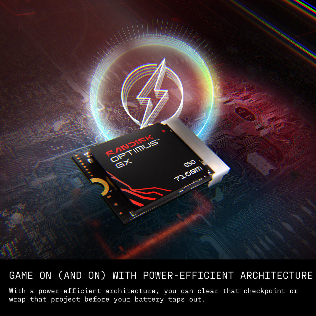 2TB NVMe SSD D318896