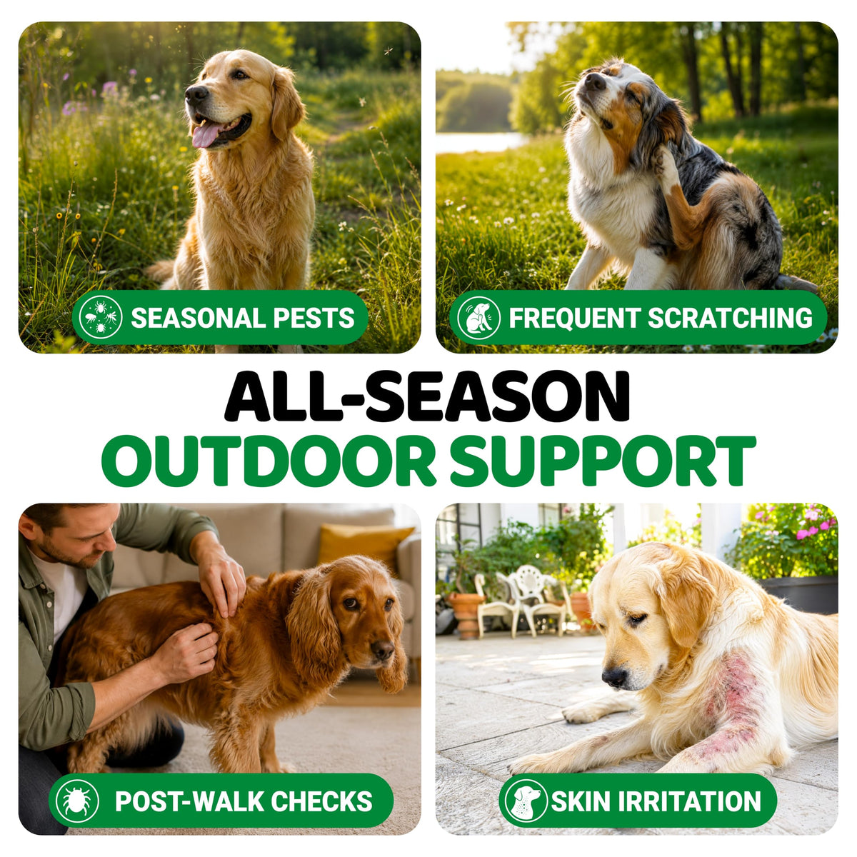 Natural Oral Flea and Tick Prevention for Dogs, 170 Chews G87614